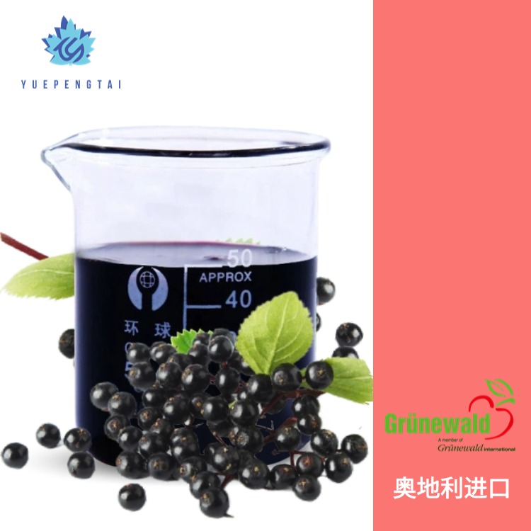 接骨木莓浓缩汁