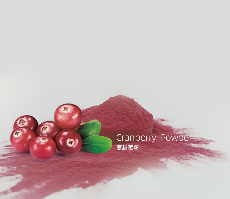 蔓越莓果粉